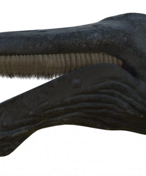 Render_2