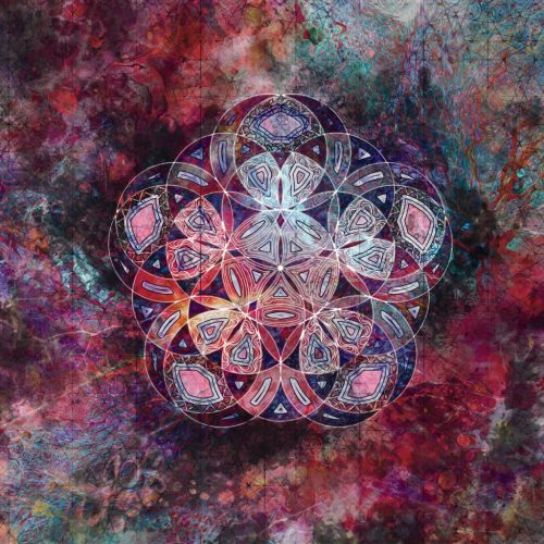 5 flower photomanipulation