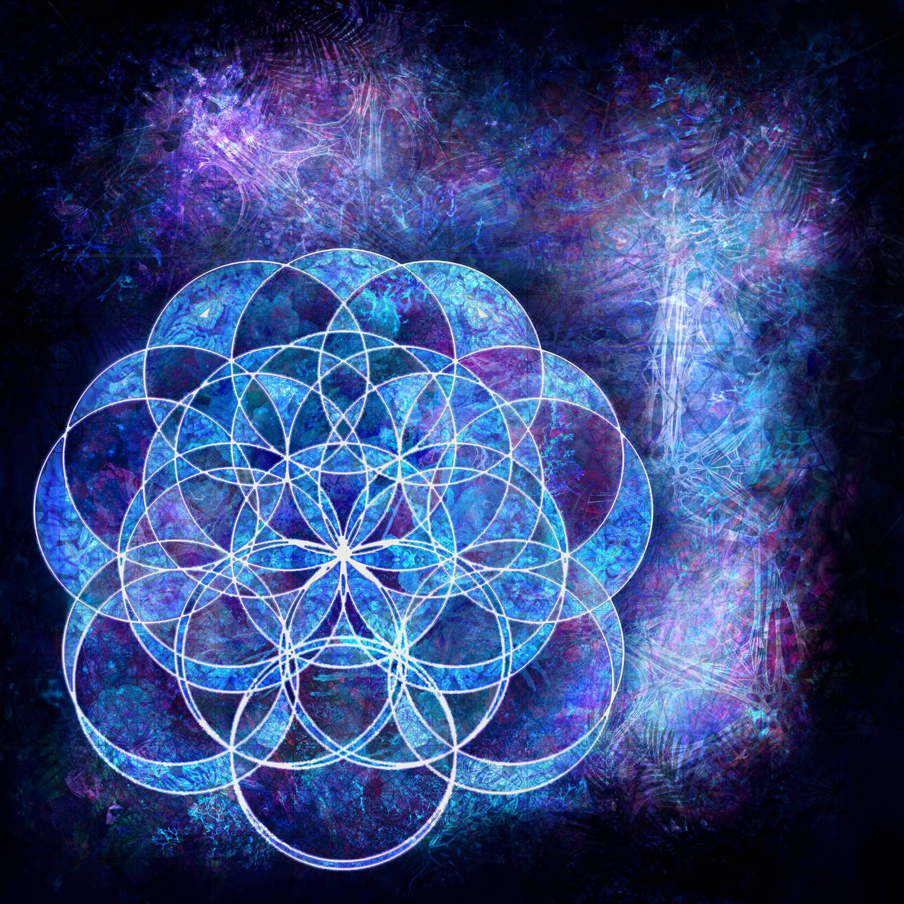 7_6 flower 7_6 flower