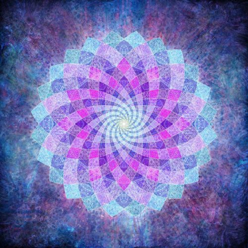 Lotus flower